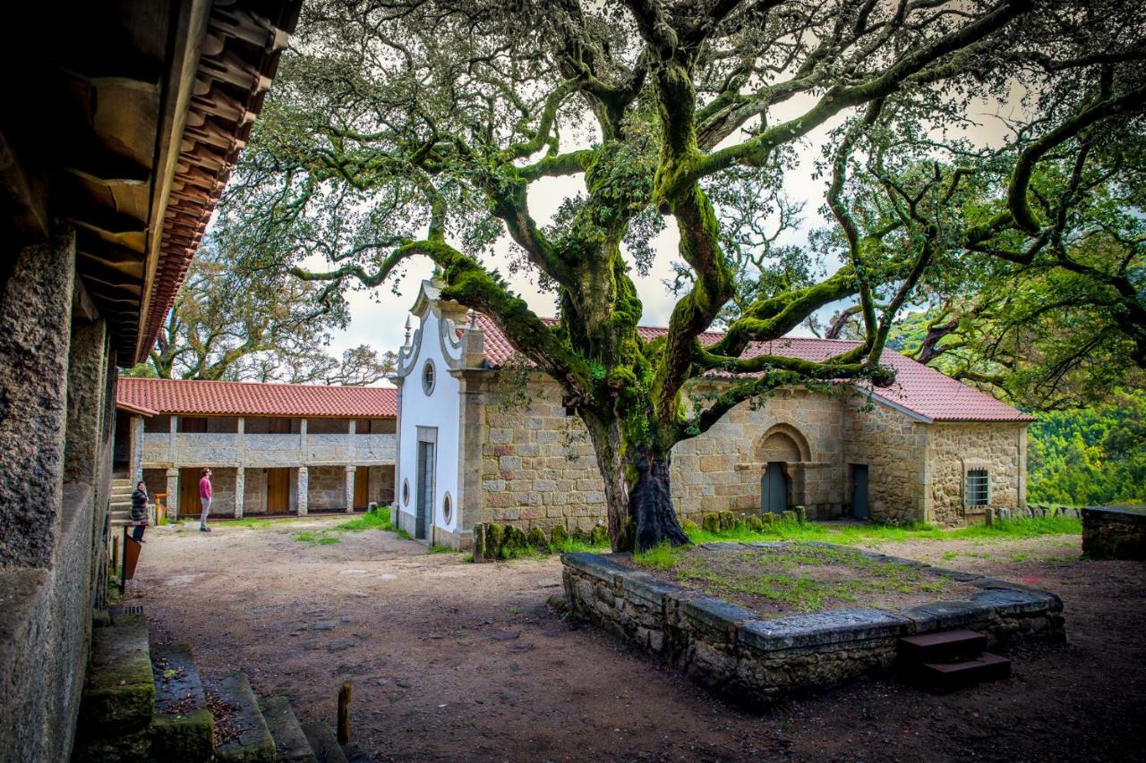 Вілла Casas Da Loureira - Casa Batatas I Віла-Нова-де-Сервейра Екстер'єр фото